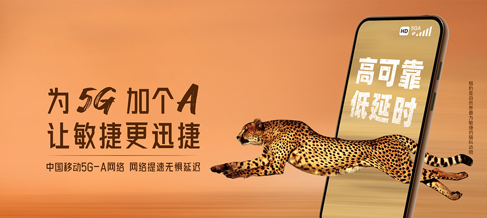中国移动凤阳县移动宽带